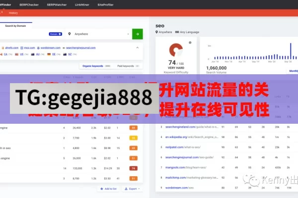 探索谷歌 SEO，提升网站流量的关键策略,谷歌SEO，提升在线可见性的关键策略