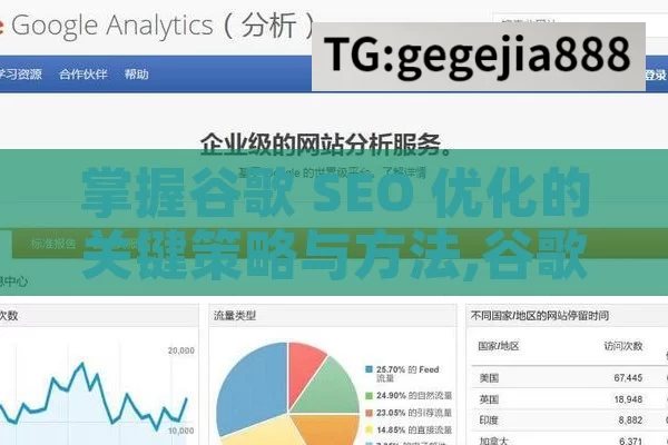 掌握谷歌 SEO 优化的关键策略与方法,谷歌SEO优化秘籍！提升排名的终极指南