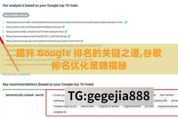 提升 Google 排名的关键之道,谷歌排名优化策略揭秘