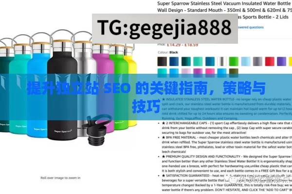 提升独立站 SEO 的关键指南，策略与技巧