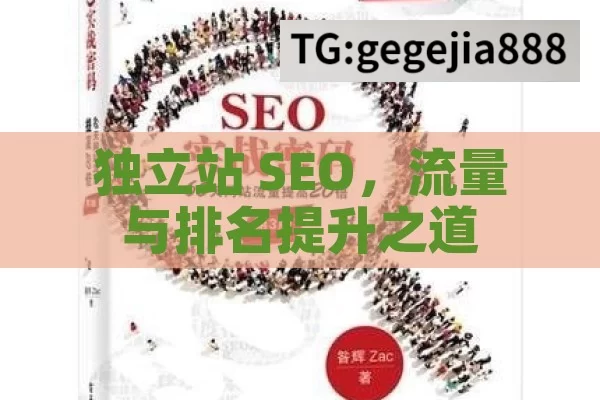 独立站 SEO，流量与排名提升之道